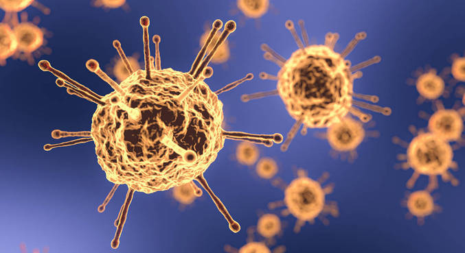 Mutações do coronavírus levam à formação de nova variantes 