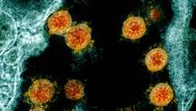 25 países da Europa registram nova cepa do coronavírus 