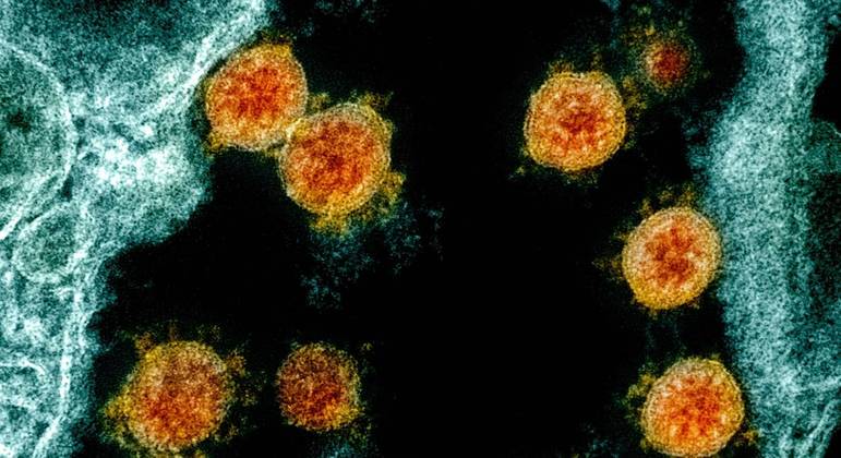 Variante do coronavírus foi encontrada em 25 países da Europa