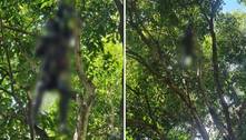 Em trabalho de poda, funcionários encontram corpo pendurado em árvore em Guarulhos (SP) 