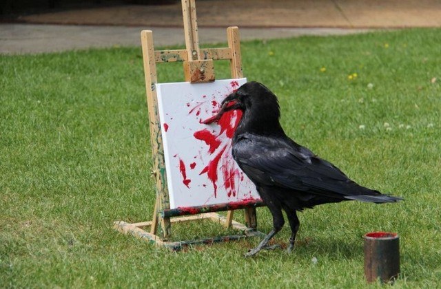 O mundo das artes plásticas tem um novo integrante: o corvo fêmea (ou corva, como acabamos de descobrir) Odin, que passa muitas tardes pintando quadros em um parque do Reino Unido. As obras da ave até são disputadas na loja da instituição