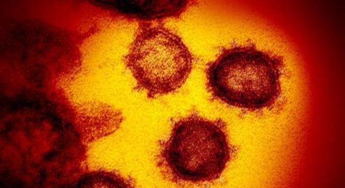 Nova cepa do coronavírus foi encontrada em outubro na Nigéria