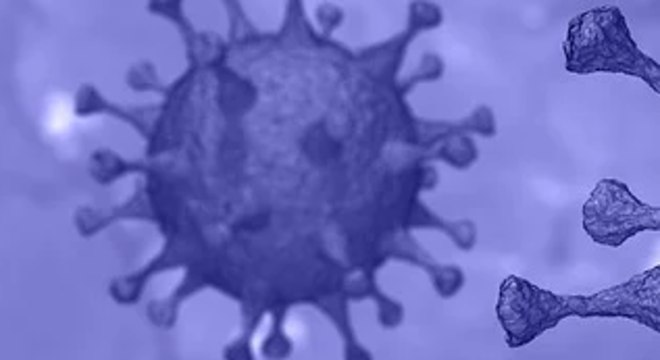 Vírus SARS-CoV-2 é capaz de infectar e de se replicar no interior de linfócitos