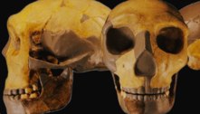 Crânio de 300 mil anos encontrado na China não se parece com nenhum outro humano