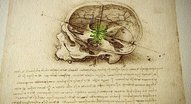 Da Vinci foi o primeiro artista a realizar uma autópsia humana completa, por isso seu conhecimento do funcionamento do corpo era muito superior ao de qualquer de seus contemporâneos