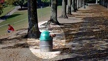 Criança entalada em lixeira é flagrada em cena do Google Earth 