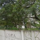 Crianças de 3 e 10 anos vão jogar bola em campinho e desaparecem 
