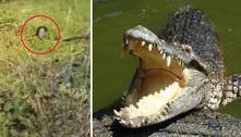 Mulher sobrevive por 90 minutos a ataque feroz de crocodilo gigantesco: 'Ainda posso vê-lo'