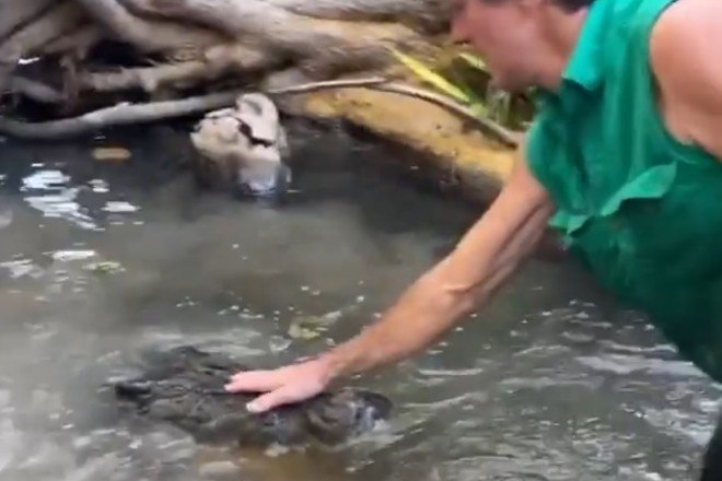 Apesar da facilidade em lidar com o situação, Matt lembrou o quão perigoso esse animal pode serVale o clique: Urso pode ser sacrificado após dar patada em perna de corredora