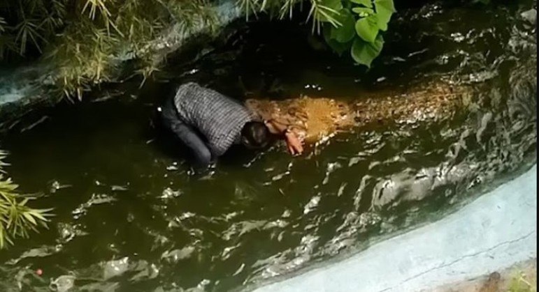 Vovô confundiu jacaré com boneco inflável em tamanho real
