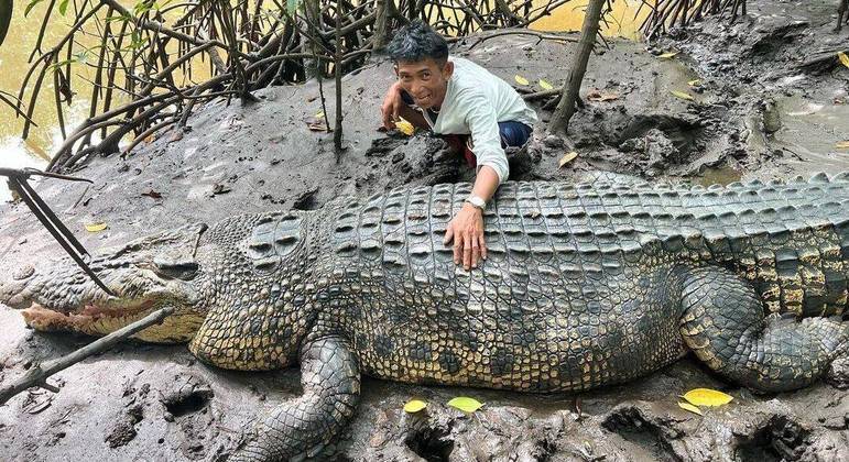 Empresário com pára-quedas caindo em crocodilos famintos