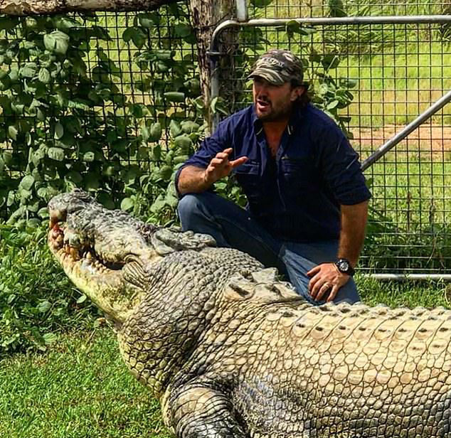 Crocodilo gigantesco causa entupimento de esgoto #criador