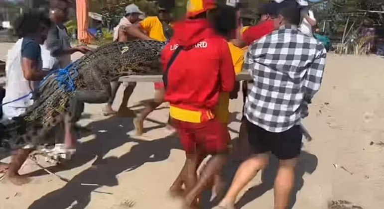 Moradores retiraram o animal da praia enquanto turista filmava
