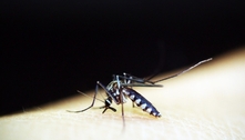 Dengue avança em áreas com pessoas menos imunizadas, e casos dobram no país