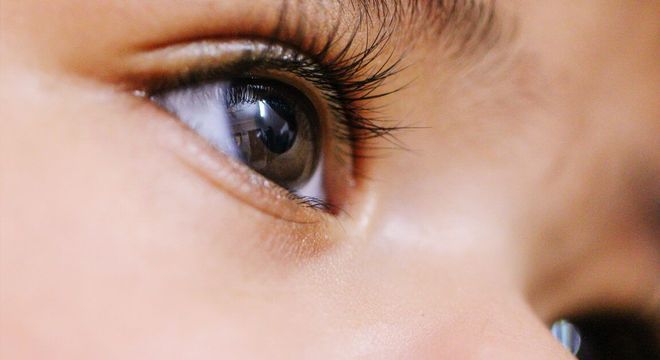 Curiosidades sobre o olho humano - detalhes do funcionamento da visão