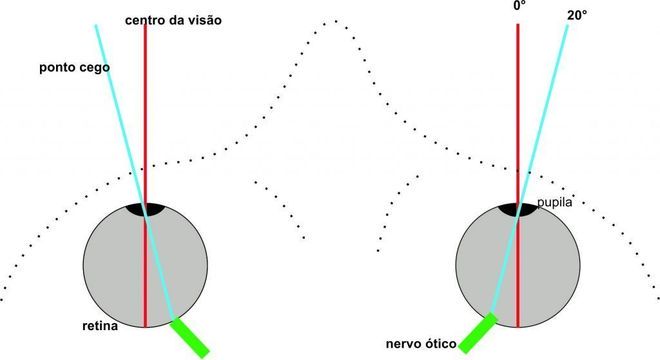 Curiosidades sobre o olho humano - detalhes do funcionamento da visão