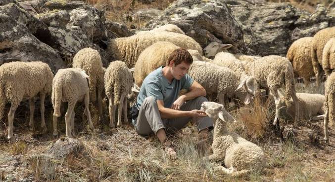 Davi (Gabriel Vivan) pastoreava as ovelhas do pai durante a juventude em Reis
