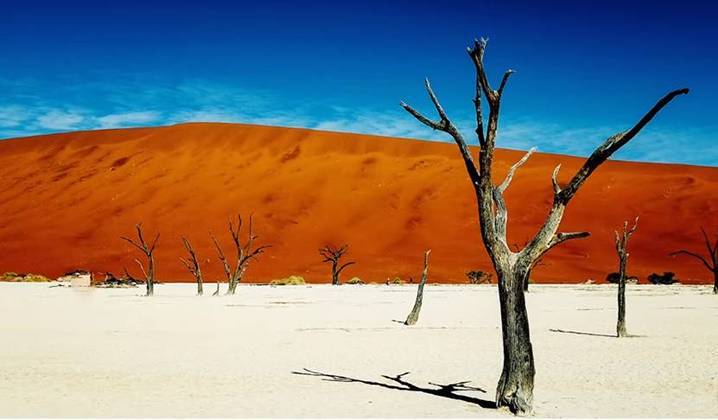  Deadvlei (Namíbia) - Bacia de argila branca localizada no Parque Namib-Naukluft. Tem as maiores dunas do mundo. A Big Daddy alcança incríveis 400 metros de altura. A paisagem parece pintura porque, contrastando com a argila branca, ficam dunas em tom laranja, árvores espinho de camelo petrificadas e o céu de um azul bem vibrante. 