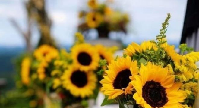 Decoração criativa para festa tema girassol