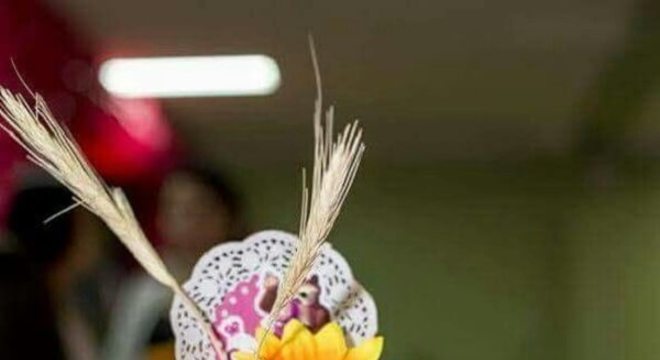 Decoração tema de festa girassol simples