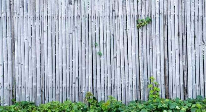 Decore o seu jardim com uma cerca de bambu
