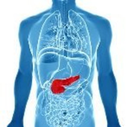 De acordo com a Fundação de Pesquisa de Tumor Neuroendócrino,
o período entre o surgimento do tumor e seu diagnóstico vai de cinco a dez anos. A oncologista explica que exames de sangue não apontam para o câncer de pâncreas e que somente exames menos comuns, como
tomografia e ressonância magnética, são capazes de relevar a doença