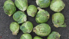 É possível ganhar a vida como degustador de couve-de-bruxelas