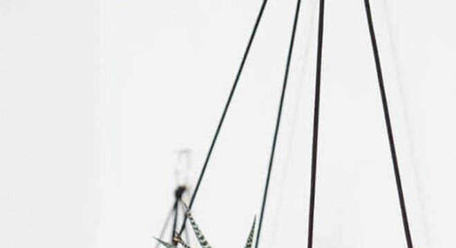 delicado suporte para prateleira de madeira