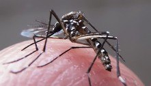 Casos e mortes por dengue caem em 2021, e Saúde lança campanha   