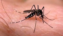 Casos de dengue crescem 57,1% na cidade de São Paulo em um ano