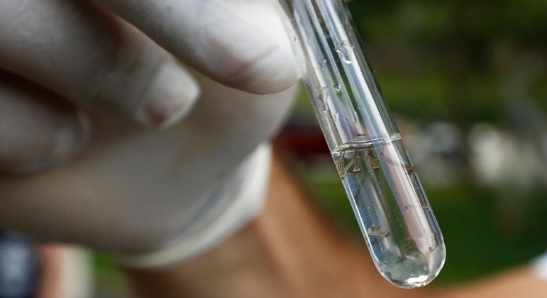 Número de mortes por dengue superou o de 2015 e atingiu 987 óbitos
