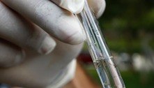Vacina contra a dengue do Butantan atinge eficácia de 79,6% 
