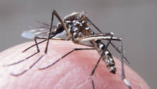 Especialista orienta sobre ações de combate ao Aedes aegypti