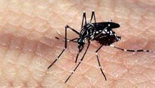 Governo do Distrito Federal declara situação de emergência por causa da dengue