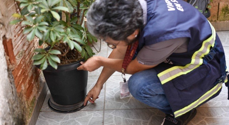 Qualquer local que acumule água pode ser um criadouro para o mosquito