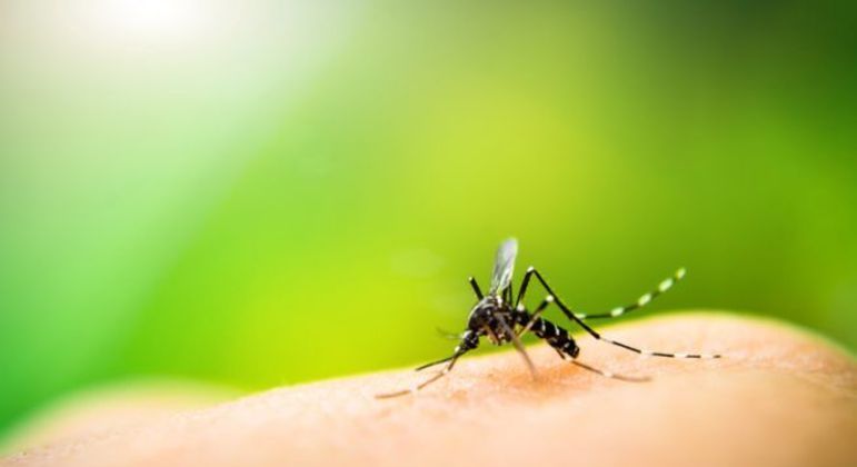 Segundo óbito por dengue é confirmado no Distrito Federal
