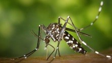 Dengue e chikungunya preocupam no verão em SP, diz vigilância 