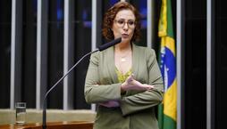 Carla Zambelli faz vaquinha online para pagar indenizações (Pablo Valadares/Câmara dos Deputados)