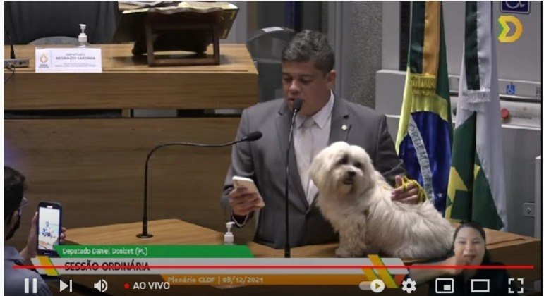 O lhasa apso Beethoven comemorou, com o parlamentar, a mudança no regimento da Casa