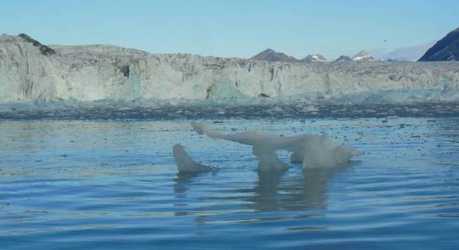 Diversos estudos científicos comprovam que o planeta ficou 1 grau Celsius mais quente nos últimos 100 anos