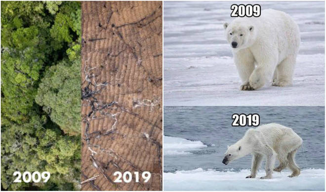 Todas as redes sociais ficaram lotadas de fotos de pessoas famosas e anÃ´nimas comparando suas aparÃªncias hÃ¡ 10 anos com o visual atual. A grande repercussÃ£o do desafio #10yearchallenge tambÃ©m estÃ¡ sendo usada para dar visibilidade para causas como a defesa do meio ambiente