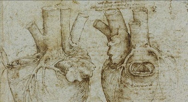 Desenhos anatômicos de Da Vinci eram de grande precisão