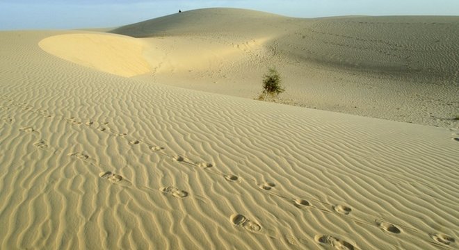 O deserto do Saara tem 4,8 mil km de comprimento