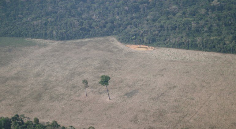 Líderes de mais de cem países, incluindo o Brasil, se comprometeram a proteger as florestas