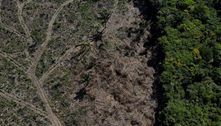 Em 2022, Amazônia teve maior desmatamento em 15 anos, diz Imazon