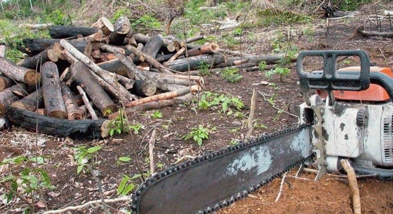 Desmatamento de março foi o maior da série histórica iniciada em 2015