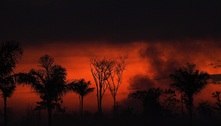 Desmatamento na Amazônia brasileira bate recorde em janeiro