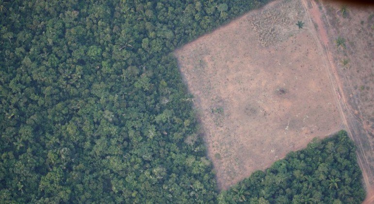 Desmatamento na Amazônia afeta rios no Sul e no Sudeste e aumenta risco de apagão no país