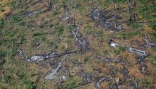 Amazônia tem recorde de queimadas e pior agosto em 12 anos, diz Inpe 