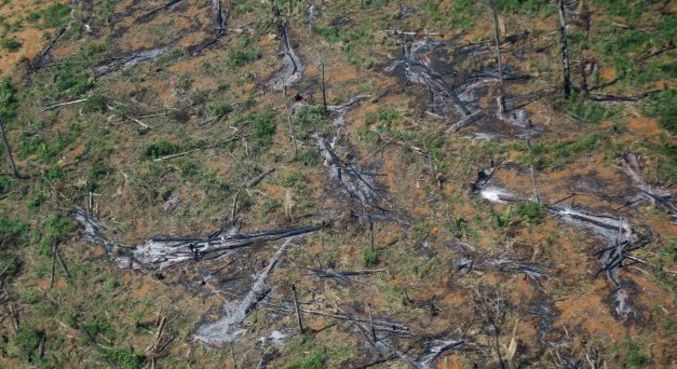 O desmatamento na floresta amazônica brasileira atingiu um recorde no semestre